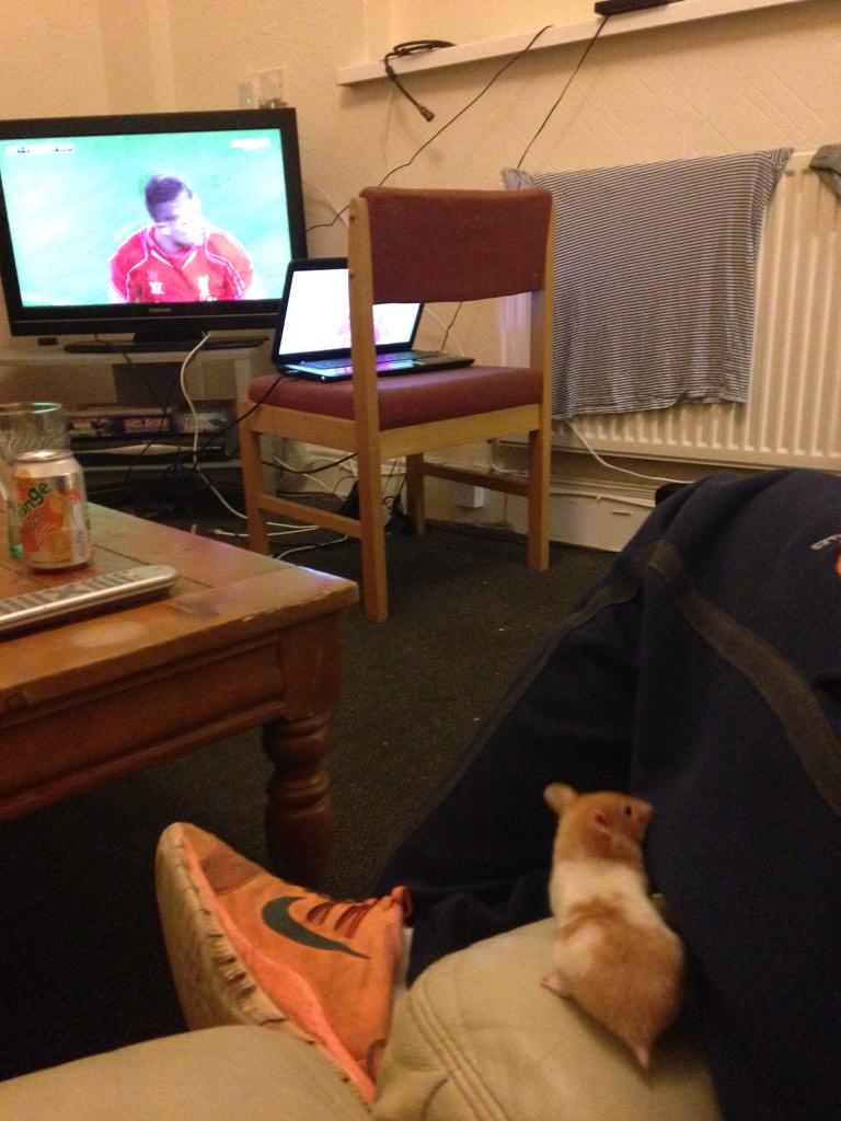 rickithehammy's tweet image. Yo westy what's the score??