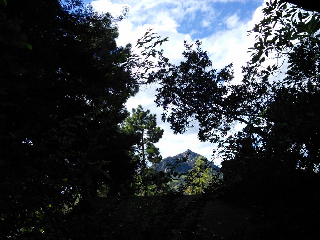 TheDaveGrant's tweet photo. View of Bishop Peak from our front porch
@tvdave @KEYTNC3Meredith @KCOY @weatherchannel 
@KSBY @KEYTNC3 #SLOView http://t.co/wk21ZuDNA6