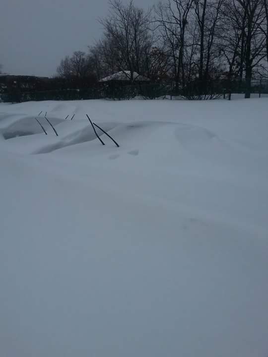 View image on Twitter