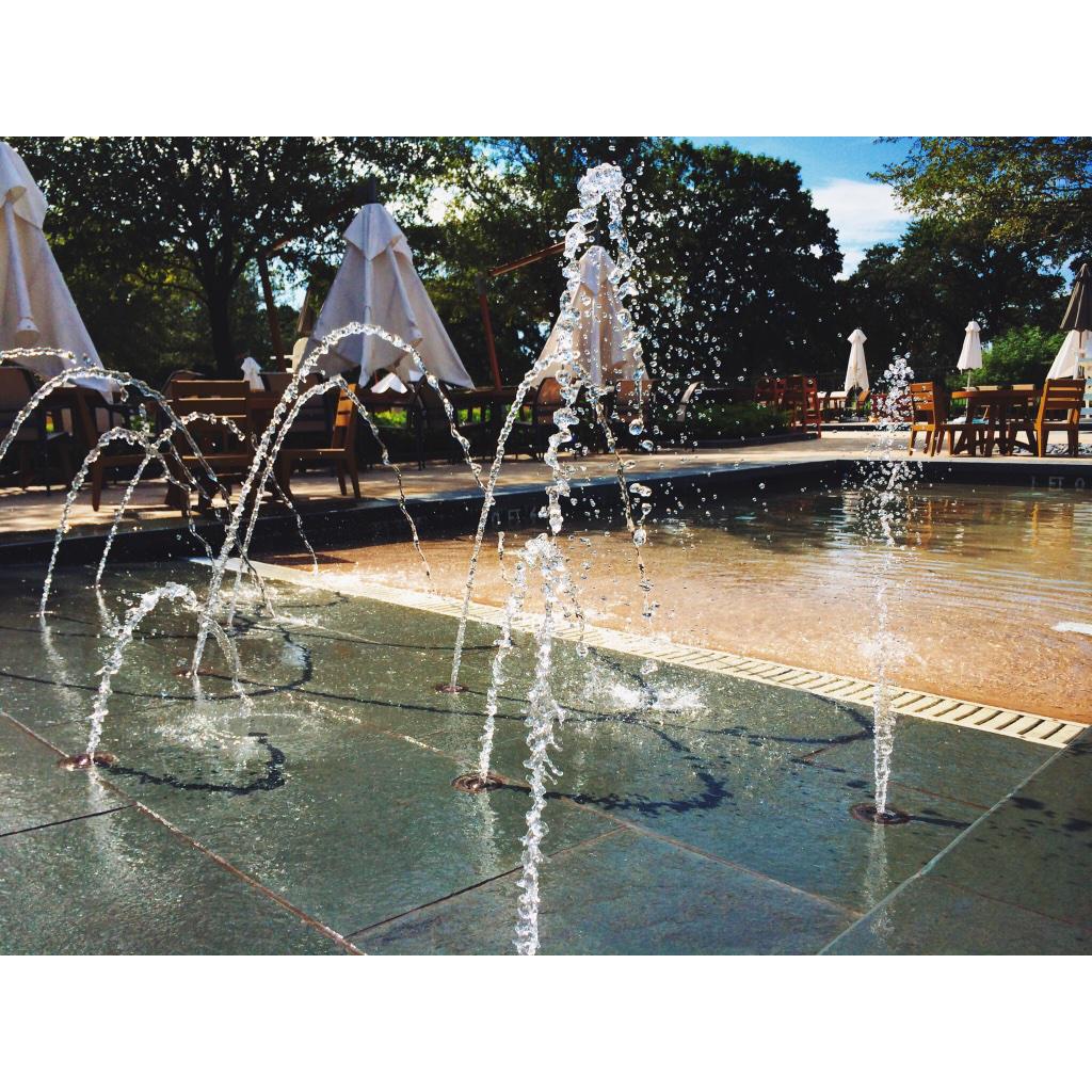 No #Snowmageddon2015 in Dallas! It's 80° and sunny and I think we have summer fever! instagram.com/p/yX5NVsQvRo/