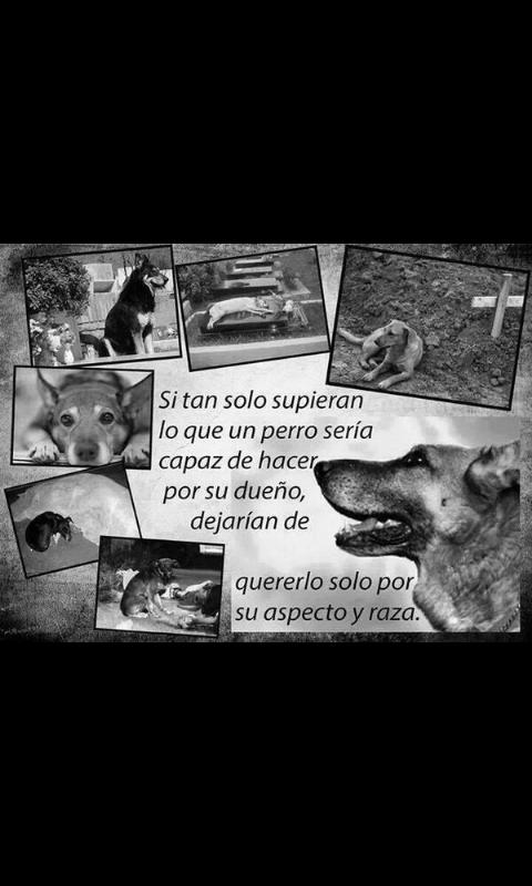 Rocii_TJ's tweet photo. Que razón.. http://t.co/LyydaG1heC