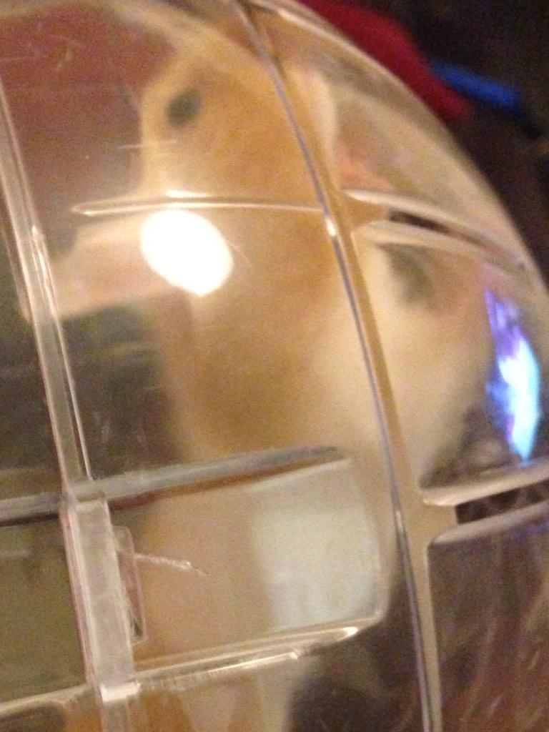 rickithehammy's tweet image. Games so boring so gunna do some cardio in my new ball #fitfam #cardio #fitness 💪🐹