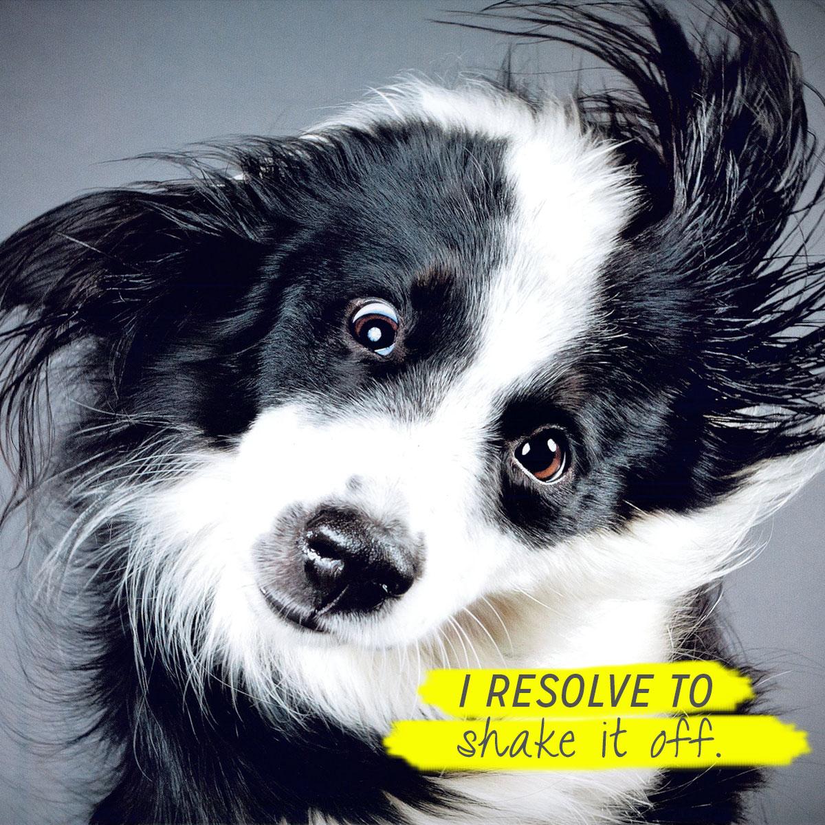 Calendars's tweet image. It&apos;s time to move on &amp;amp; say you’re done with the past! Find the right #ResolutionsFor2015 here: bit.ly/1z01vkD