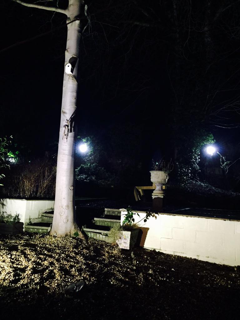 red electrical  tweet media