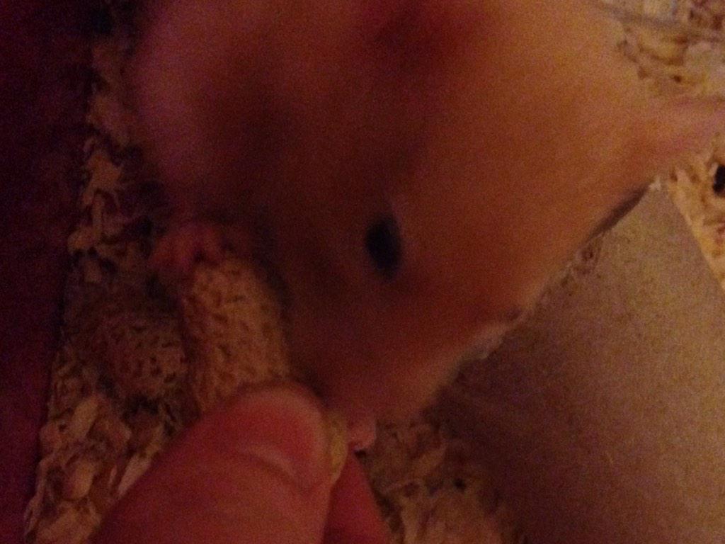 rickithehammy's tweet image. Mhmmmm monkey nuts 🍴🐹🐒