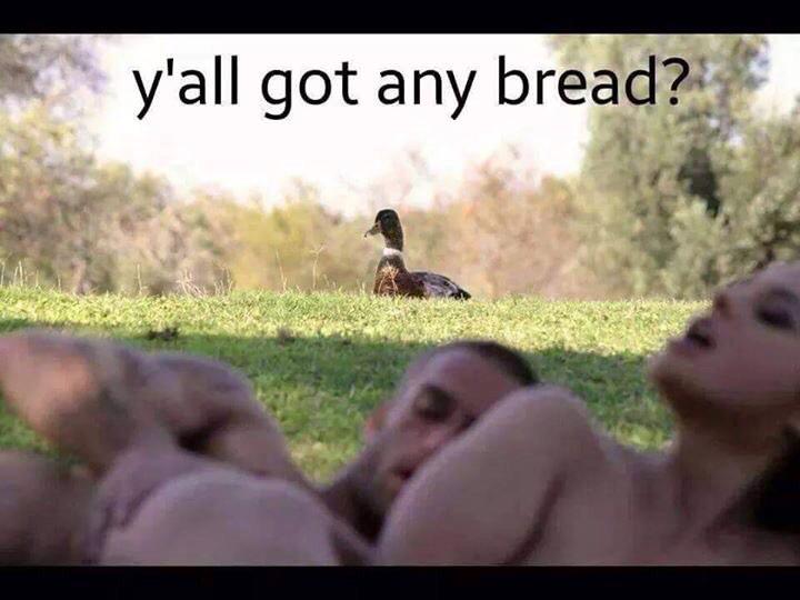 OklahomaChiveNation (@chiveok) on Twitter photo 