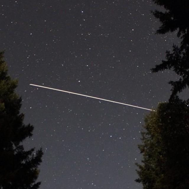 Thomas Rota (@rota_thomas) | Twitter