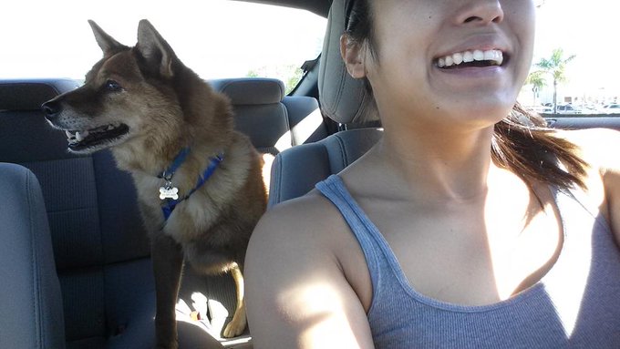 So good to be with my dog again. http://t.co/MAVmk3dQgx<a href="/tag/mvsales"class="tags"><span>#mvsales</span></a>