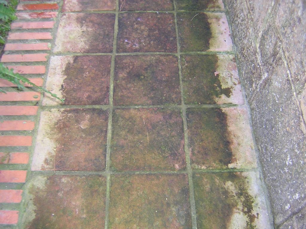 RustisurB's tweet image. 