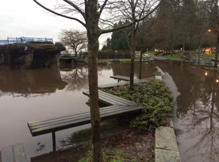 [FLOODING PHOTO] Another photo from last week -> Lumbermen's Arch in Stanley Park #StanleyPark #Vancouver