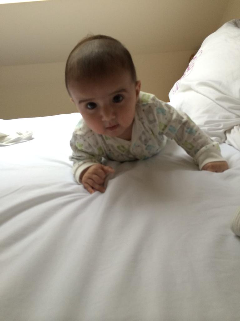 G Singh Gill (@gagan_gill87) on Twitter photo 