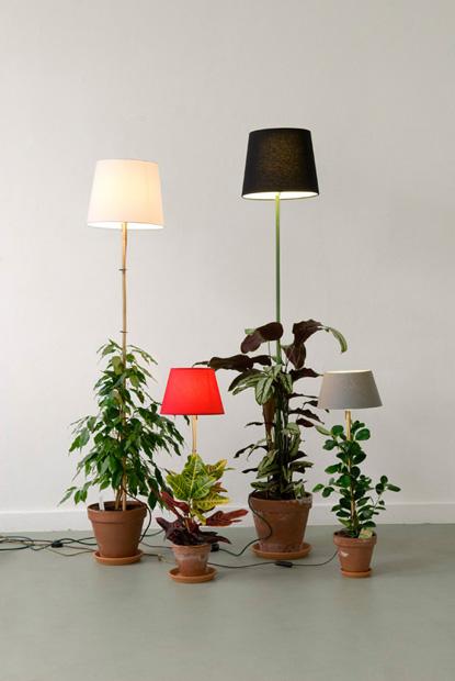PrairiePartDieu's tweet photo. "Plant lamp" d'Helmut Smits #green #HelmutSmits http://t.co/4MKOFOQv84 #plant #lamp #HumourEcologique http://t.co/a0mrfezOe5