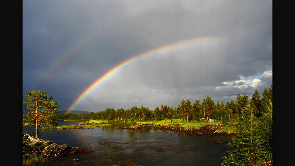 treeNgoodvibes's tweet photo. The worse the storm, the more beautiful the rainbow. http://t.co/AbNLUO98ZK