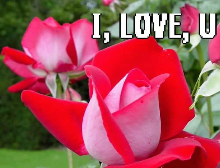 khadijah9911's tweet photo. http://t.co/salRBM1WbP