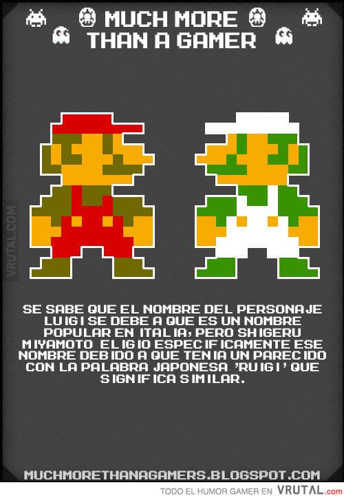 Luffy d Monkey tweet media
