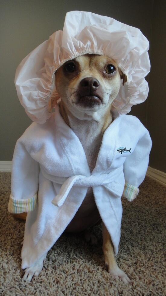 CoolestCritters's tweet photo. Shower Time http://t.co/KdQqSSeEBV