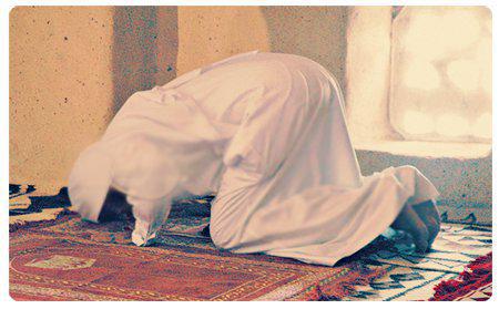 قال #سيدي_رسول_الله ﷺ:
(اجعلوا آخرَ صلاتِكم بالليلِ وترًا). رواه البخاري.
#الوتر يامن تتمنى.....♡
#قروب_raqi "