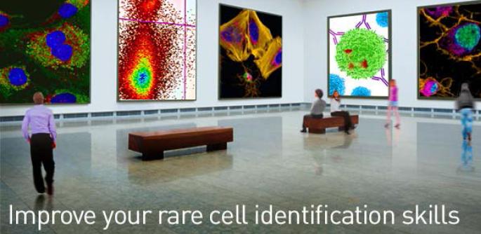 thermofisher's tweet image. Free webinar: Overcoming challenges in cell analysis: Multiparameter analysis of rare cells. oak.ctx.ly/r/2dz81