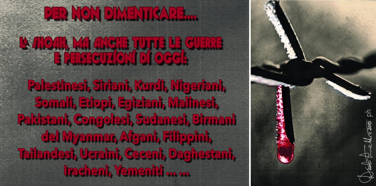 danenrietti tweet media