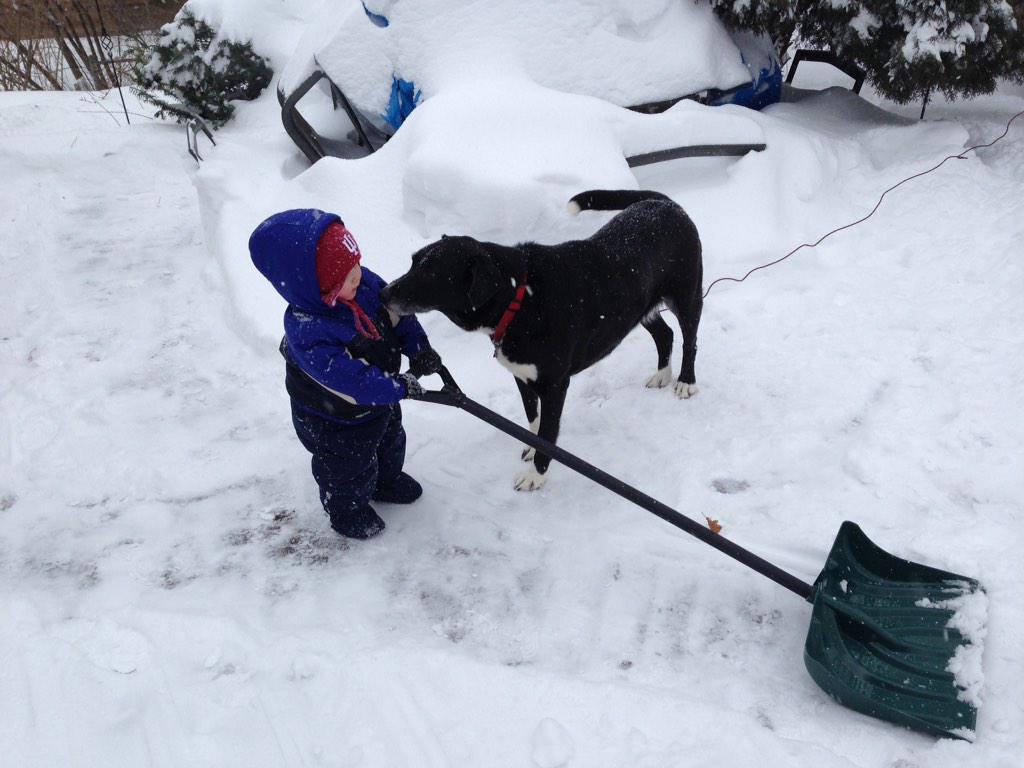 Soxious's tweet photo. There's a lot of white stuff out there, but my littlest brother is moving some outta my way. #lovehim #sothoughtful http://t.co/eoyWxUjGxW