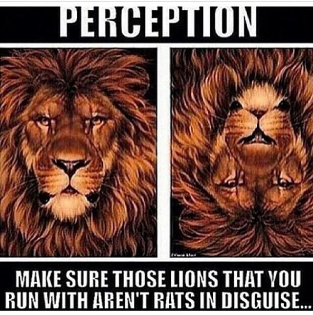 robphillips615's tweet photo. Watch who's around you. #MyTeamIsStrong #I4NI http://t.co/buTofPcXew