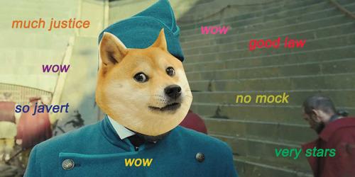 doge meme studying