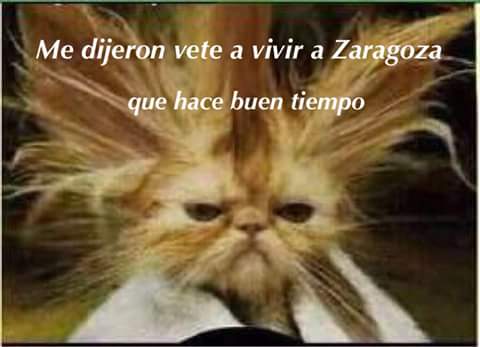 LauraRc13's tweet photo. Asi es...😂 http://t.co/gZNwT2n13m