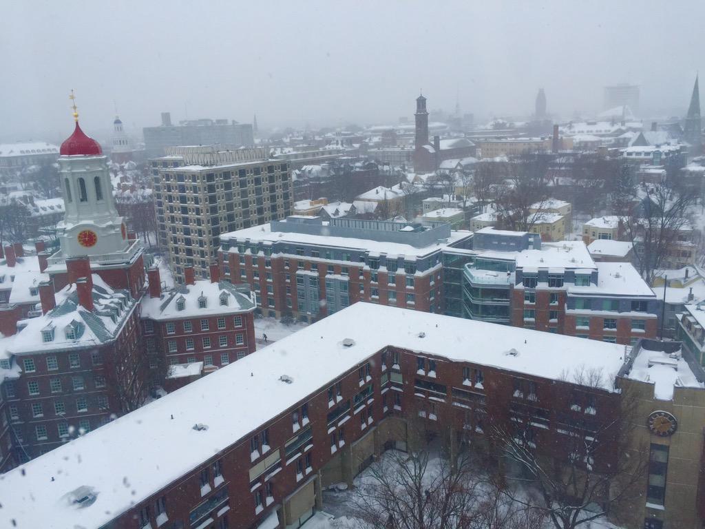  Snow day in Cambridge, MA. A happy birthday blizzard for me! 