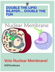 gfa_nucmem's tweet photo. #doublelipidbilayer #votenucmem #gfacellwars http://t.co/mTq7QowSC9