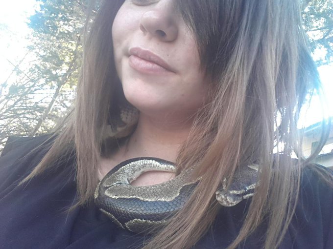 #Peekaboo in my hair. #BallPython #Snake #SnakeScarf #python http://t.co/bBEvxBDzNS<a href="/tag/peekaboo"class="tags">#Peekaboo</a><a href="/tag/ballpython"class="tags">#BallPython</a><a href="/tag/snake"class="tags">#Snake</a><a href="/tag/snakescarf"class="tags">#SnakeScarf</a><a href="/tag/python"class="tags"><span>#python</span></a>