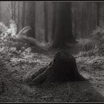 Photo by Creative Monk & Poet (@MonkCreativity)