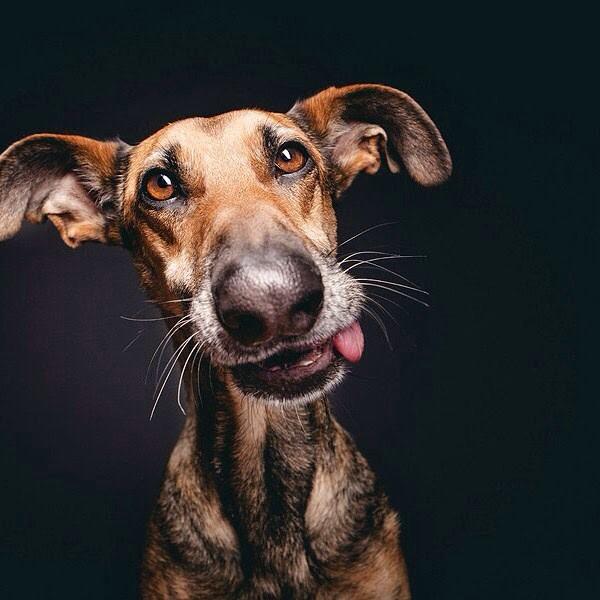 CoolestCritters's tweet photo. Photogenic little guy! http://t.co/YCuyKwHGIt