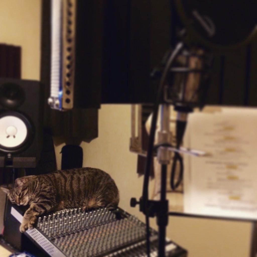 laurelkathleen's tweet image. It's hard to get work done when your supervisor is asleep on the job. #thanksPanda #voiceactorproblems