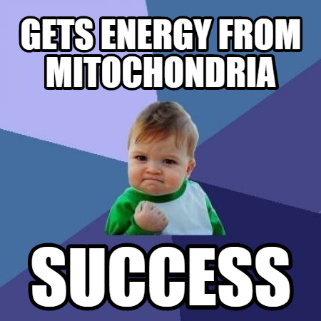 only_mighty's tweet photo. *all other organelles* #AHSOIC15 http://t.co/rCcjdcdvbG