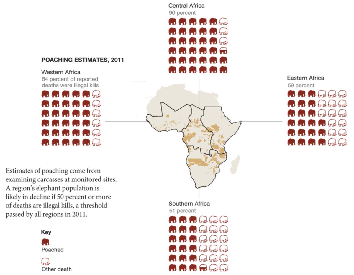 whitetusks's tweet photo. Poached #elephant populations in East, West, Central and South #Africa 
#Ivorywars #Ivorytrade http://t.co/WKf3rpz24T