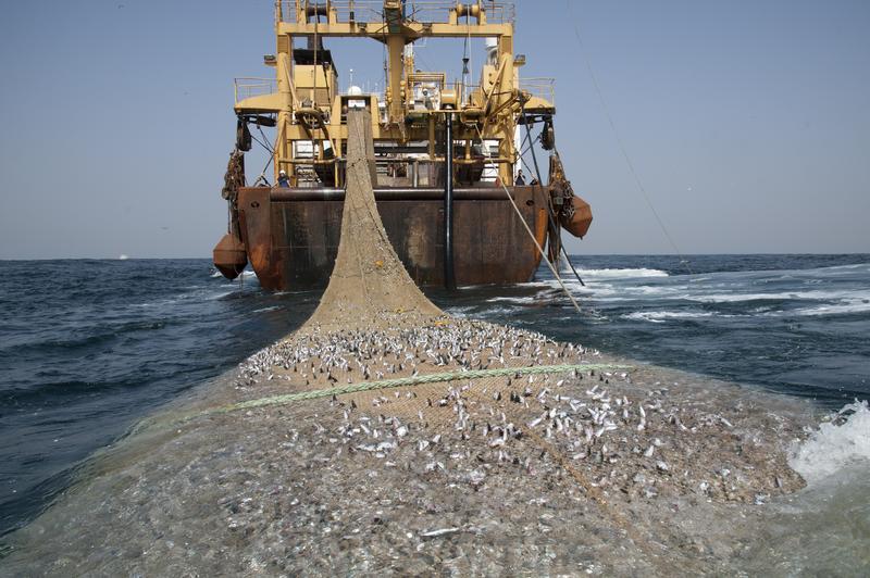 beawiharta's tweet photo. "Wuiih serakah @susipudjiastuti: Kapal beralat tangkap merusak #monsterboats trawl ini menguras ikan seenaknya http://t.co/HJM4LRY14a"