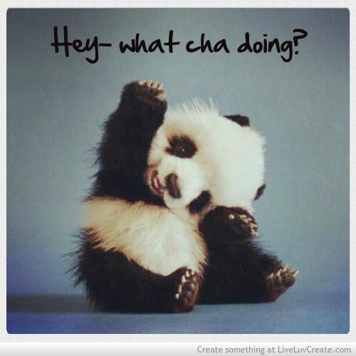 Hoffasgrave's tweet image. @DropDeadLashes Random #PandaSmile for you