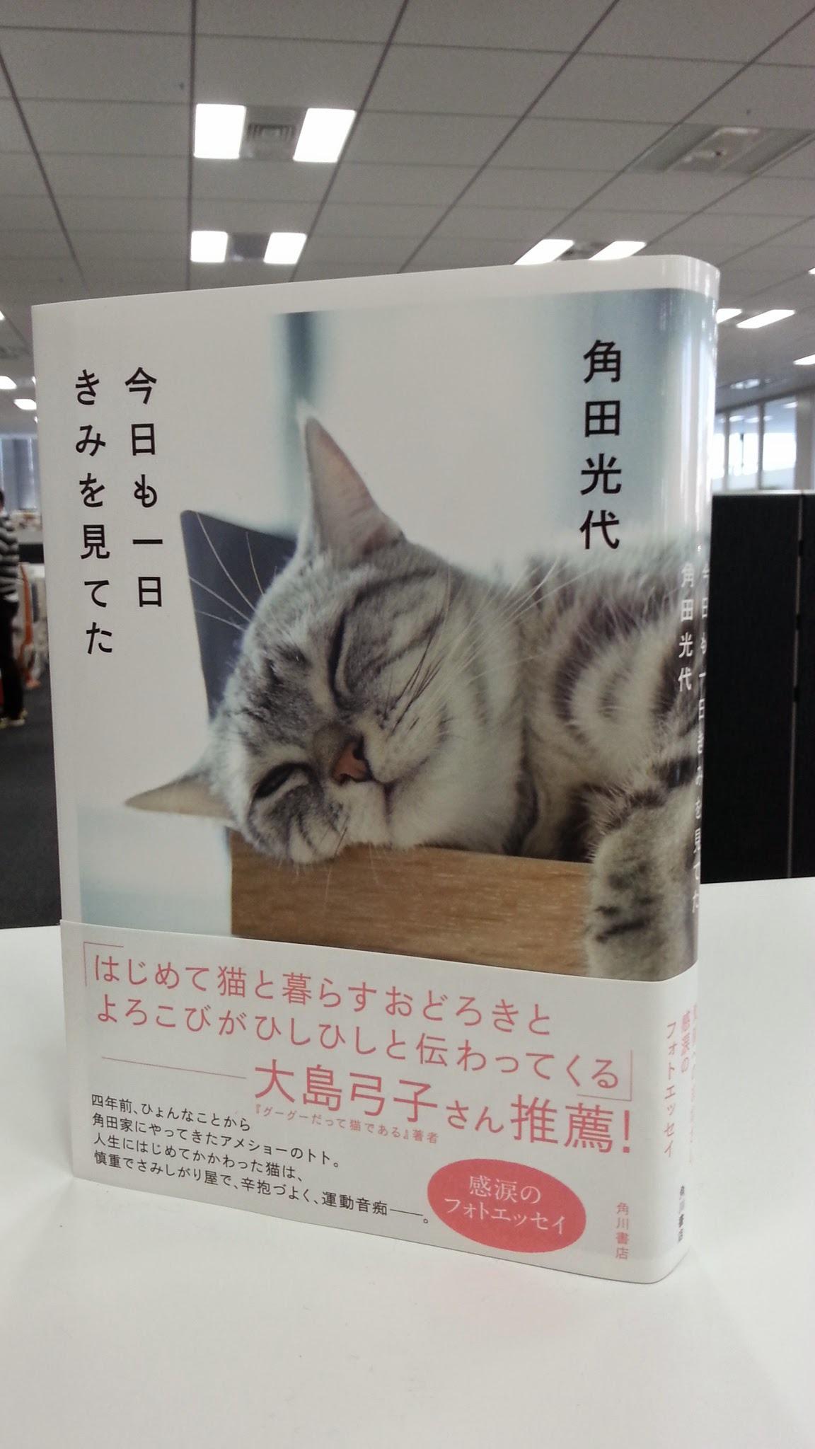 Kadokawa文芸編集部 角田光代さんの猫エッセイ 今日も一日きみを見てた が今週1 30 金 発売です フォトジェニックすぎるトトちゃんの写真と角田さんの柔らかく愛にあふれるエッセイ 必見必読です もう 本当かわいすぎてかわいすぎて震えます 猫