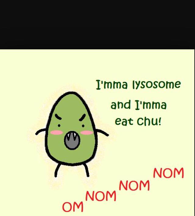 ASAPNucleolus's tweet photo. Rare shot of @HomieLysosomie when he's not running for office... #AHSOIC15 http://t.co/Y9I220RVFR