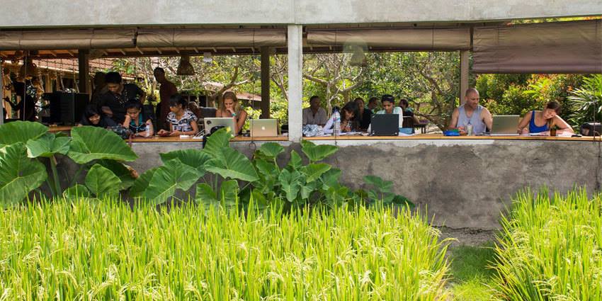 weHibernate's tweet image. 9-to-thrive. Escape the office. Forever. Begins in Bali, this February. turnpoint.io/course/9-to-th… @TrnPoint @escthecity