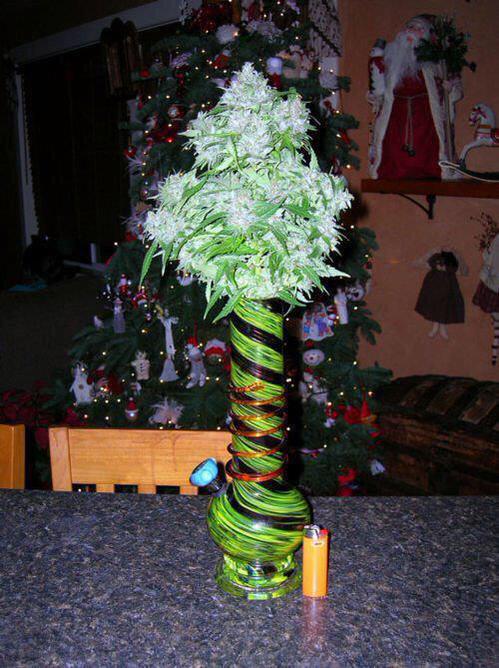 _Truffle_Report's tweet photo. When she asks for flowers and a vase. http://t.co/wvWS2vrhR4