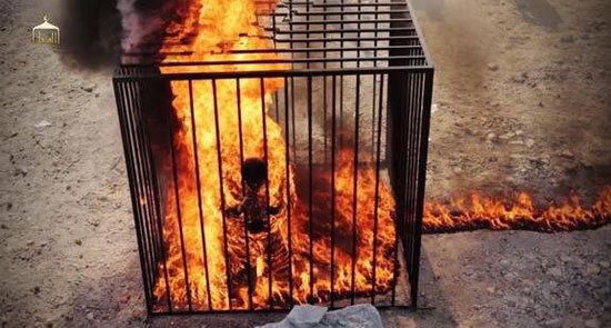 StrikeMagazine's tweet photo. بالفيديو والصور، #داعش تنفذ الإعدام حرقاً فى الطيار الأردنى #معاذ_الكساسبة
الفيديو والتفاصيل: http://t.co/f0C8ExSVon http://t.co/DHUjSfGboV
