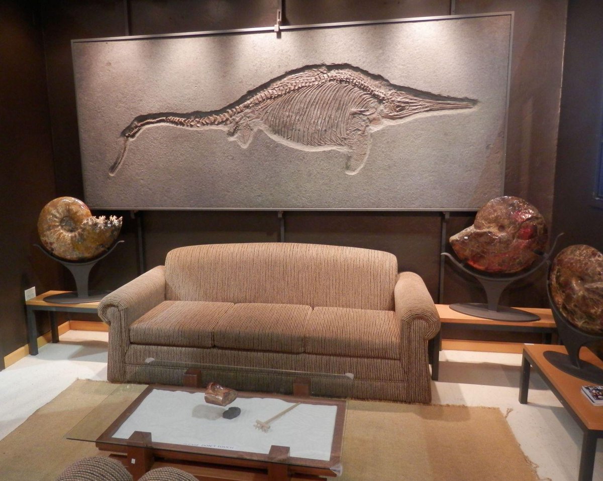 JohnRMoffitt's tweet image. The #TucsonGemShow experience shows us how to decorate our living room with fossils.
