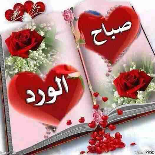 mutasaleta's tweet photo. http://t.co/YxcuZtVSxM