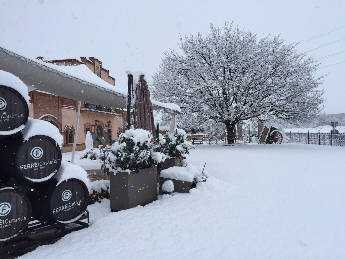 Ferré i Catasús tweet media