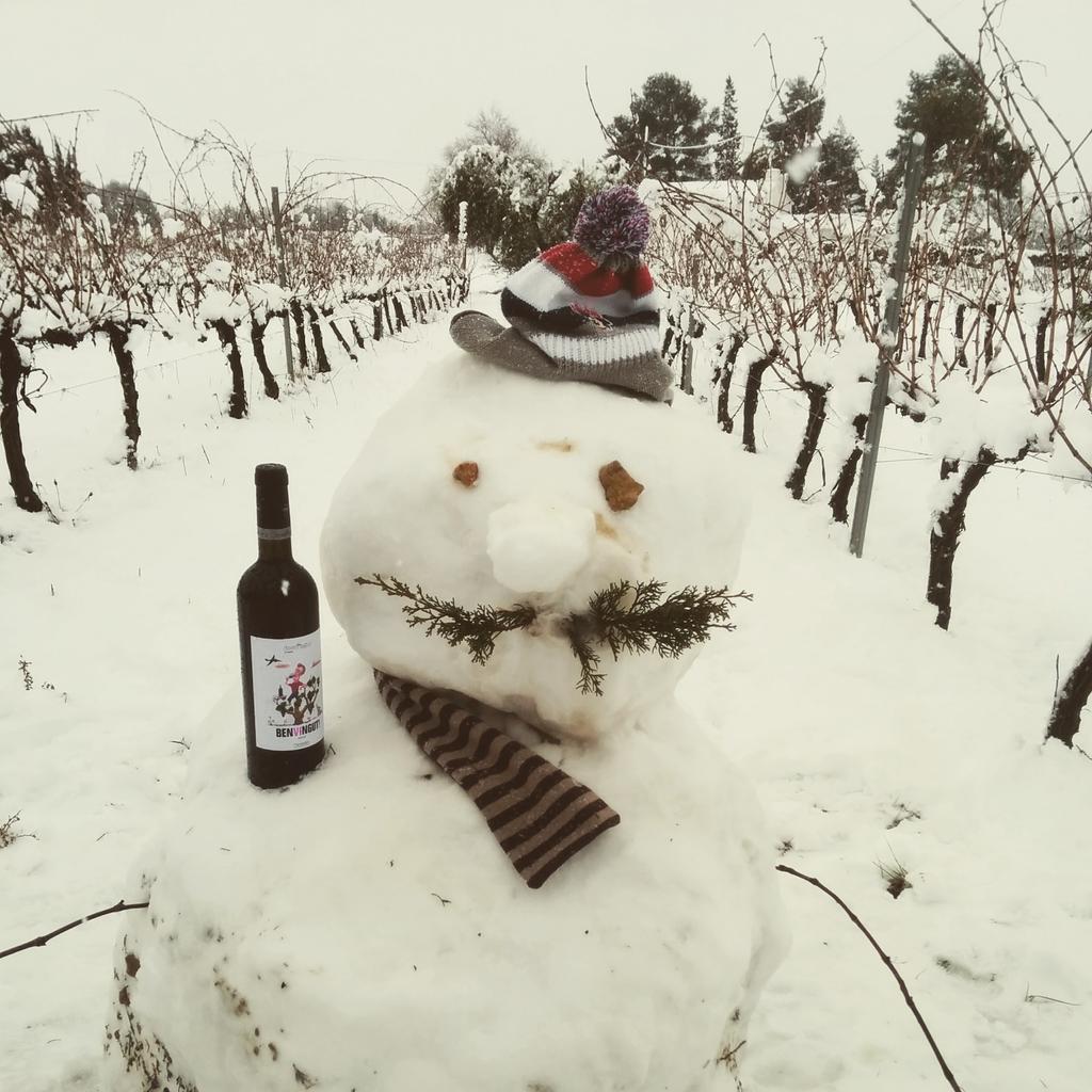 Descregut vi&cava tweet media