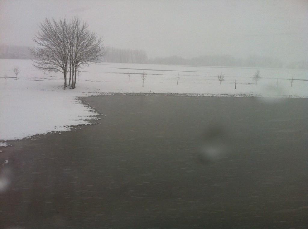 Lauzurica_Derma's tweet photo. Desde el tren, cerca de Vitoria...#InviernoEM http://t.co/nPZRbWts11