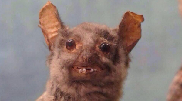 SpeakComedy's tweet photo. "hey I'll be there in 5, r u ready"

me: http://t.co/RVjjcSq3ho
