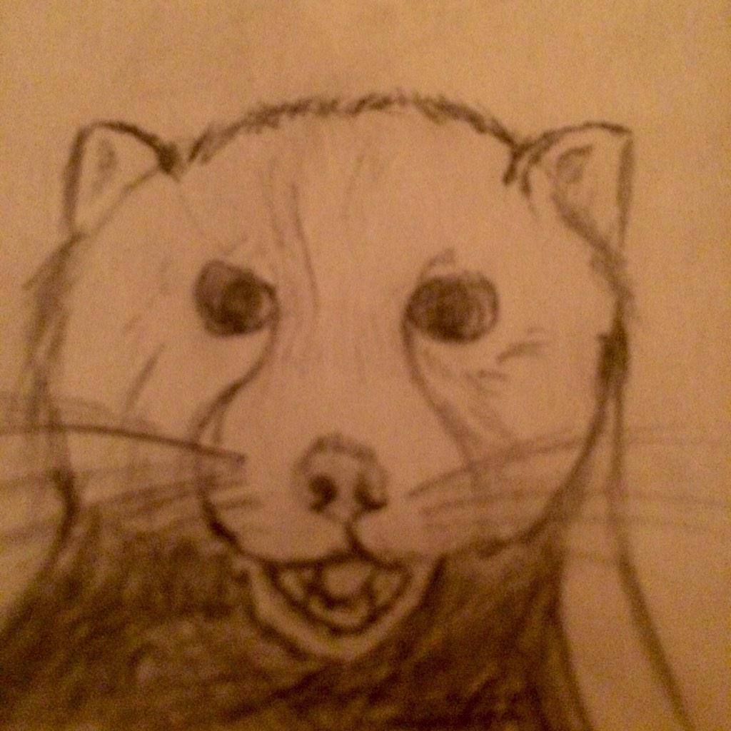 SioraiDragon's tweet photo. Guess doodling in math class gets fun after a while😄
#redpandafamily http://t.co/C6wtgBgZrA