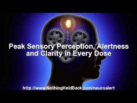 mindwarzblog's tweet image. #BrainAndMemoryPowerBoost #BrainFood #BrainEnhanc Focus Factor ... h ... mindwarz.com/focus-factor-m… ...